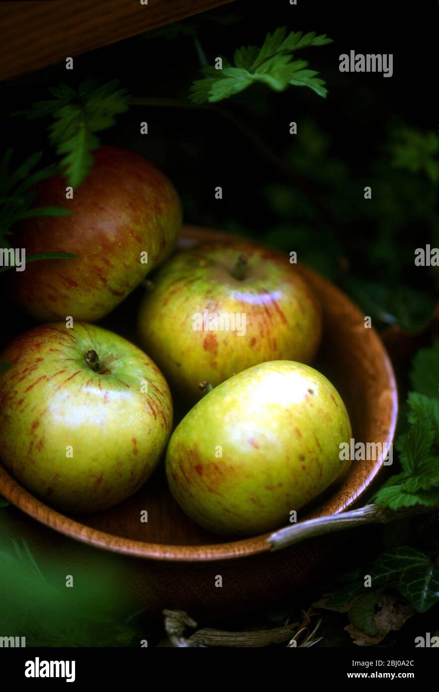 Small wooden bowl of Cox's orange pippins apples outdoors - Stock Photo