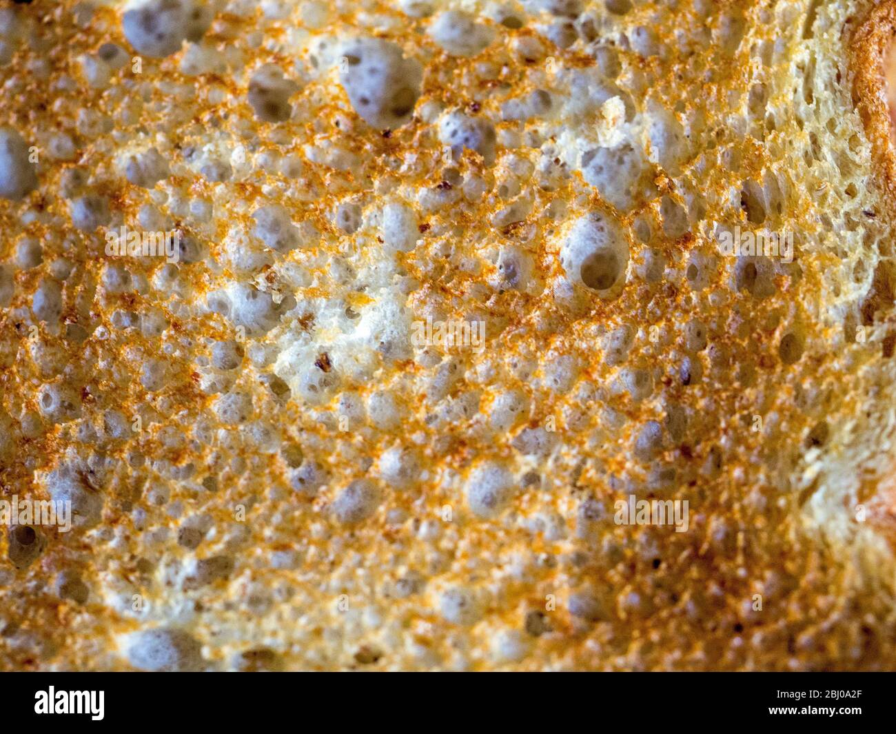 Close up of toasted gluten free white bread Stock Photo