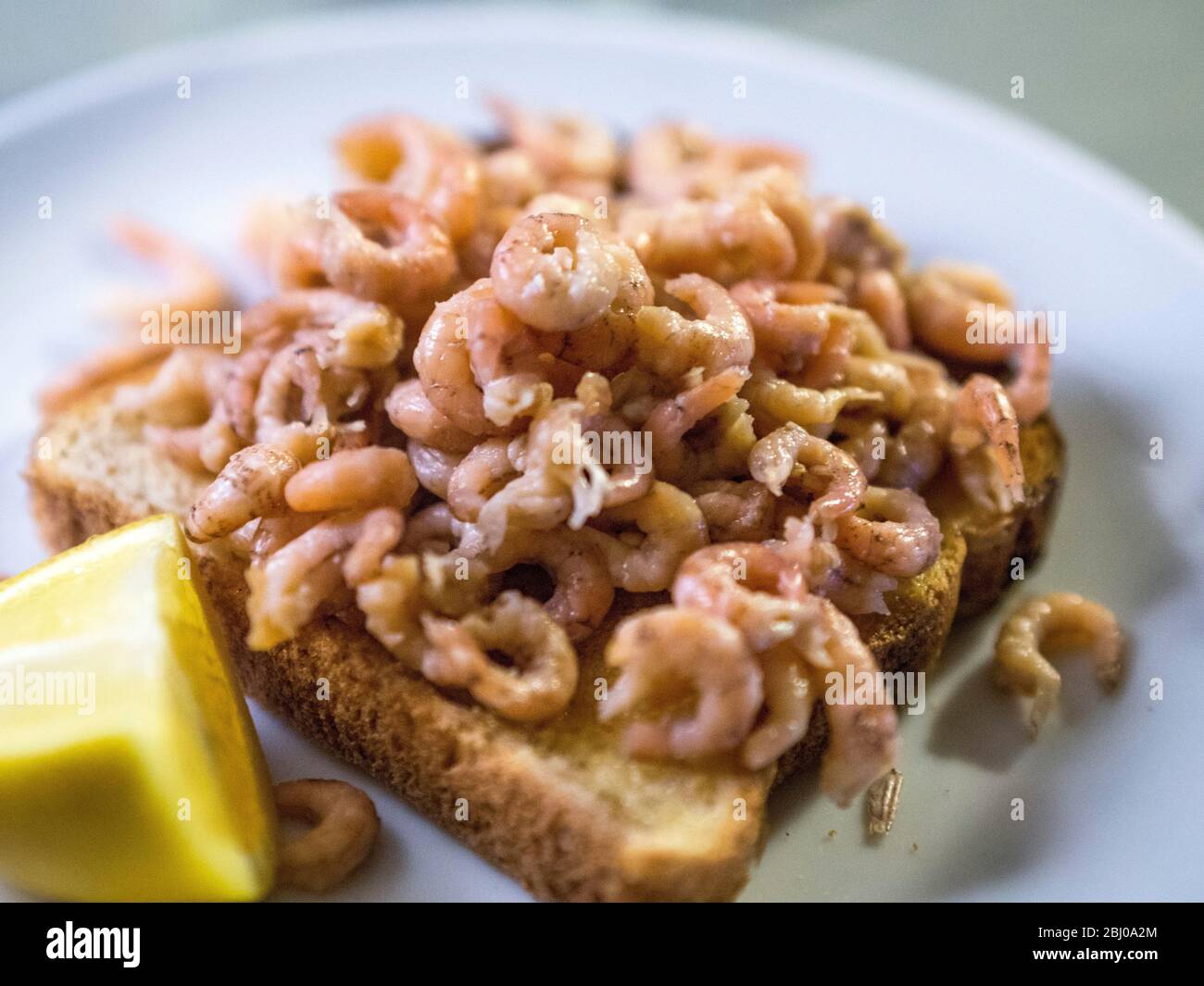 Freshly peeled brown shrimps on toast with wedge of lemon. Stock Photo