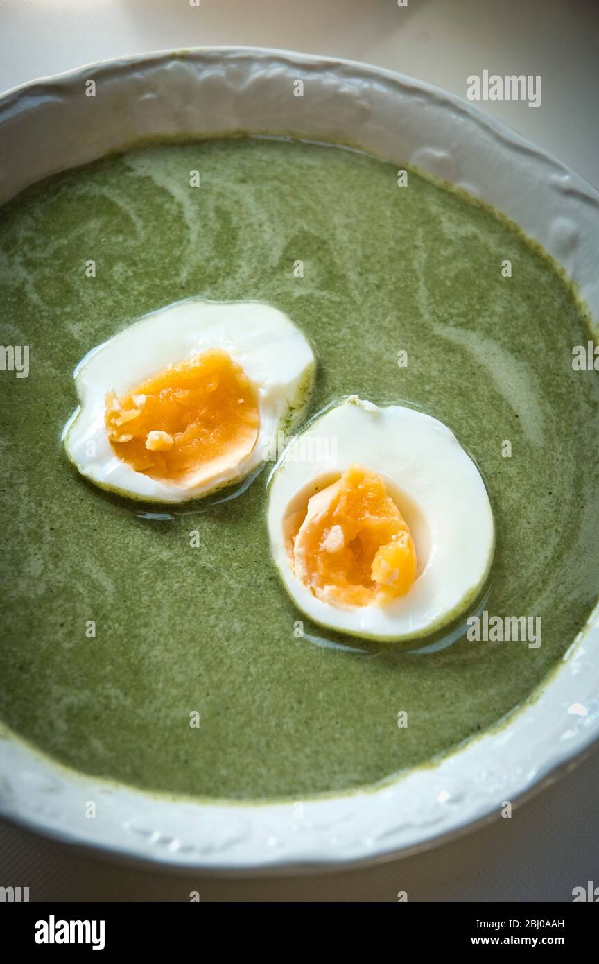 Traditional Swedish springtime soup made of nettles and chicken stock with a boiled egg halved on top Stock Photo