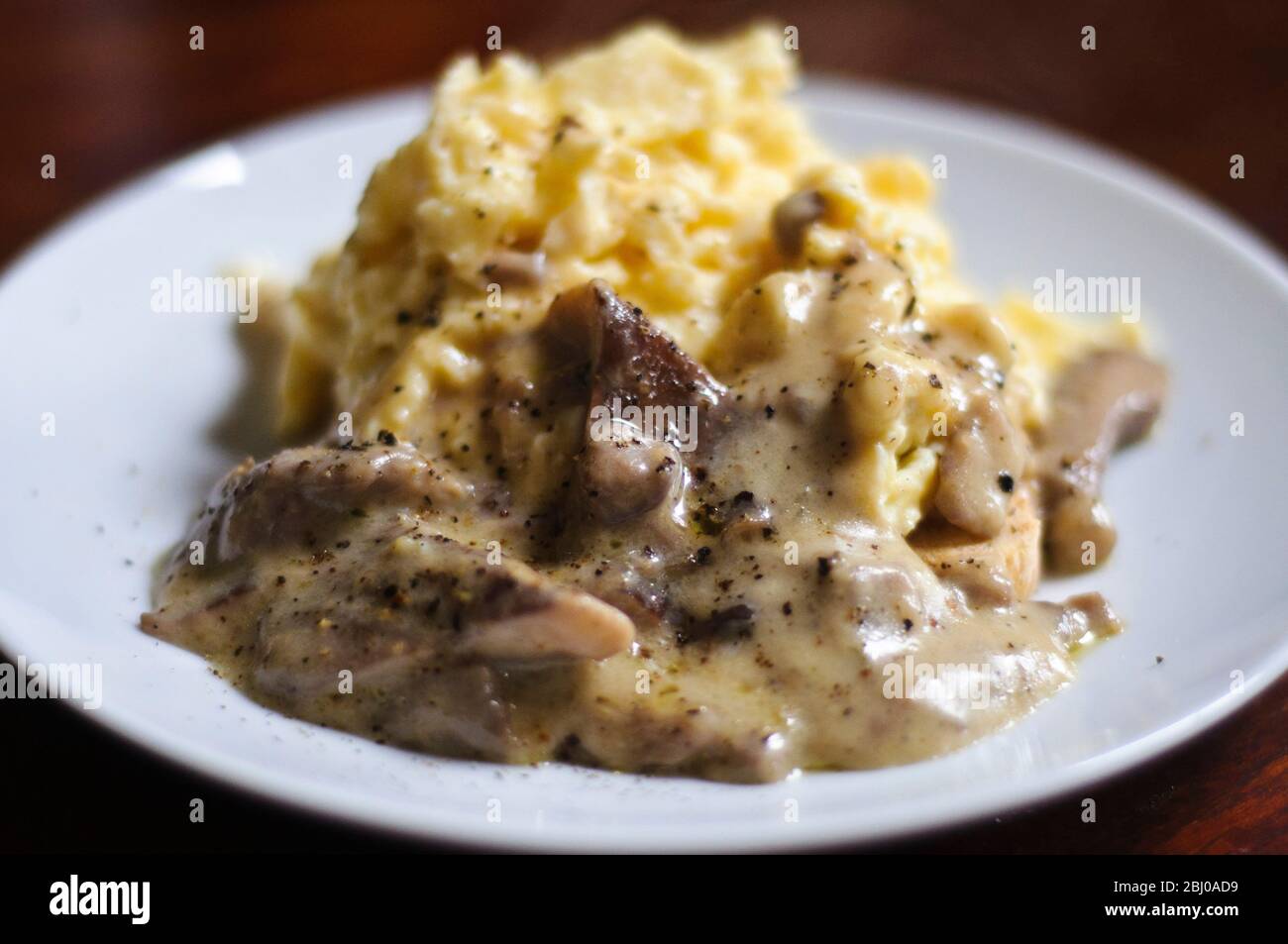 Wood blewits cooked with a little butter and cream with scrambled eggs Stock Photo