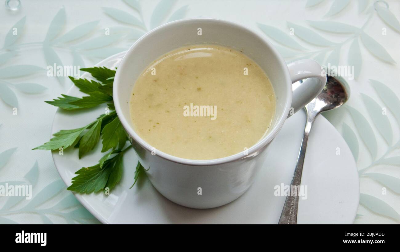 Light vegetable soup with cottage cheese blended in - Stock Photo