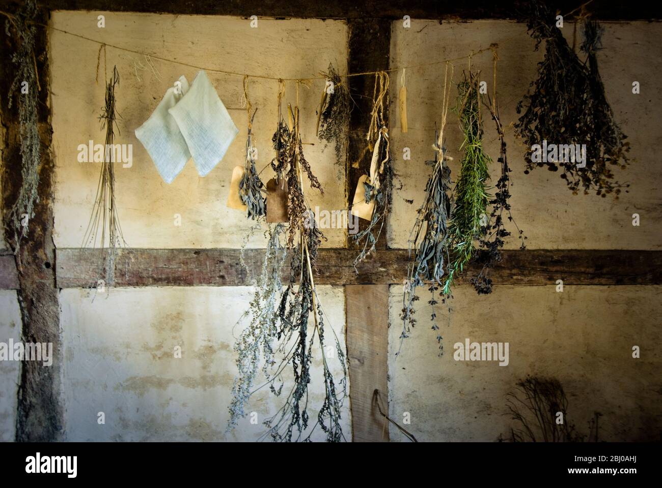 Bunches of fresh herbs hanging in the interior of fifteenth century cottage at Singleton museum, West Sussex - Stock Photo