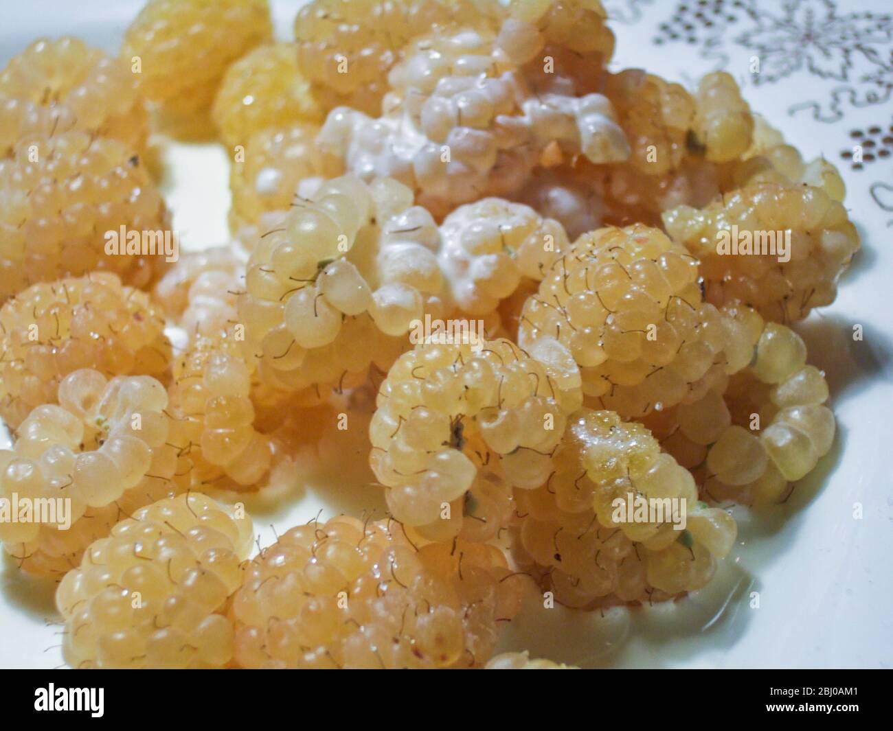 Pale golden raspberries with poured cream - Stock Photo