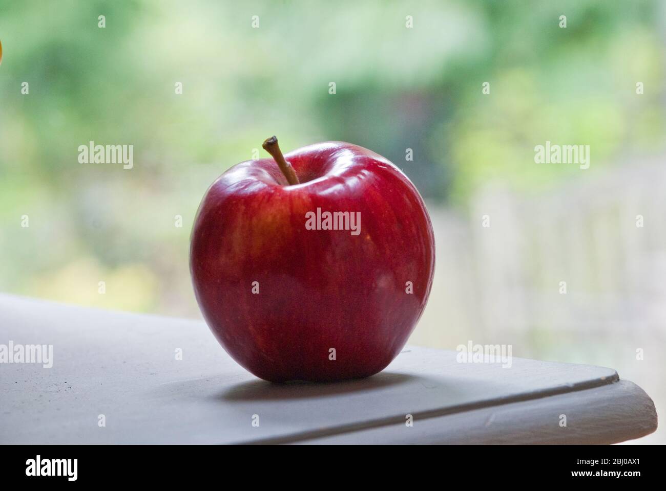 One whole red apple in natural setting - Stock Photo