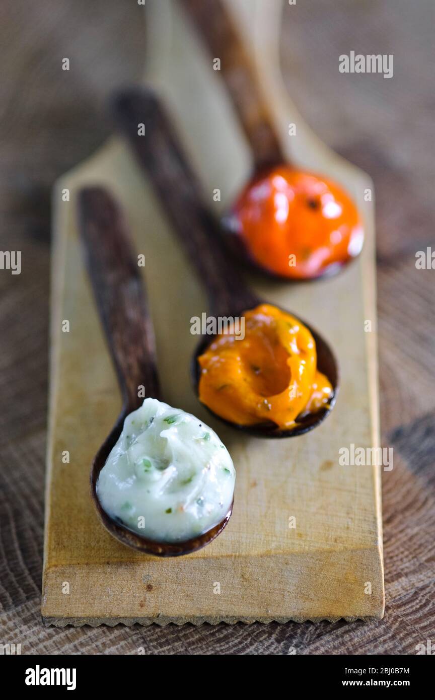 Spoons of commercial sauces used for glazing meaat before grilling. Also can be used as relish - Stock Photo
