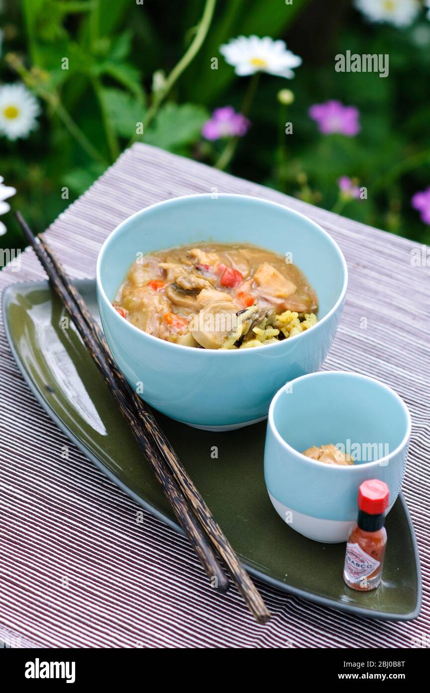 Thai chicken curry on rice - reconstituted American Government Food pack - Stock Photo