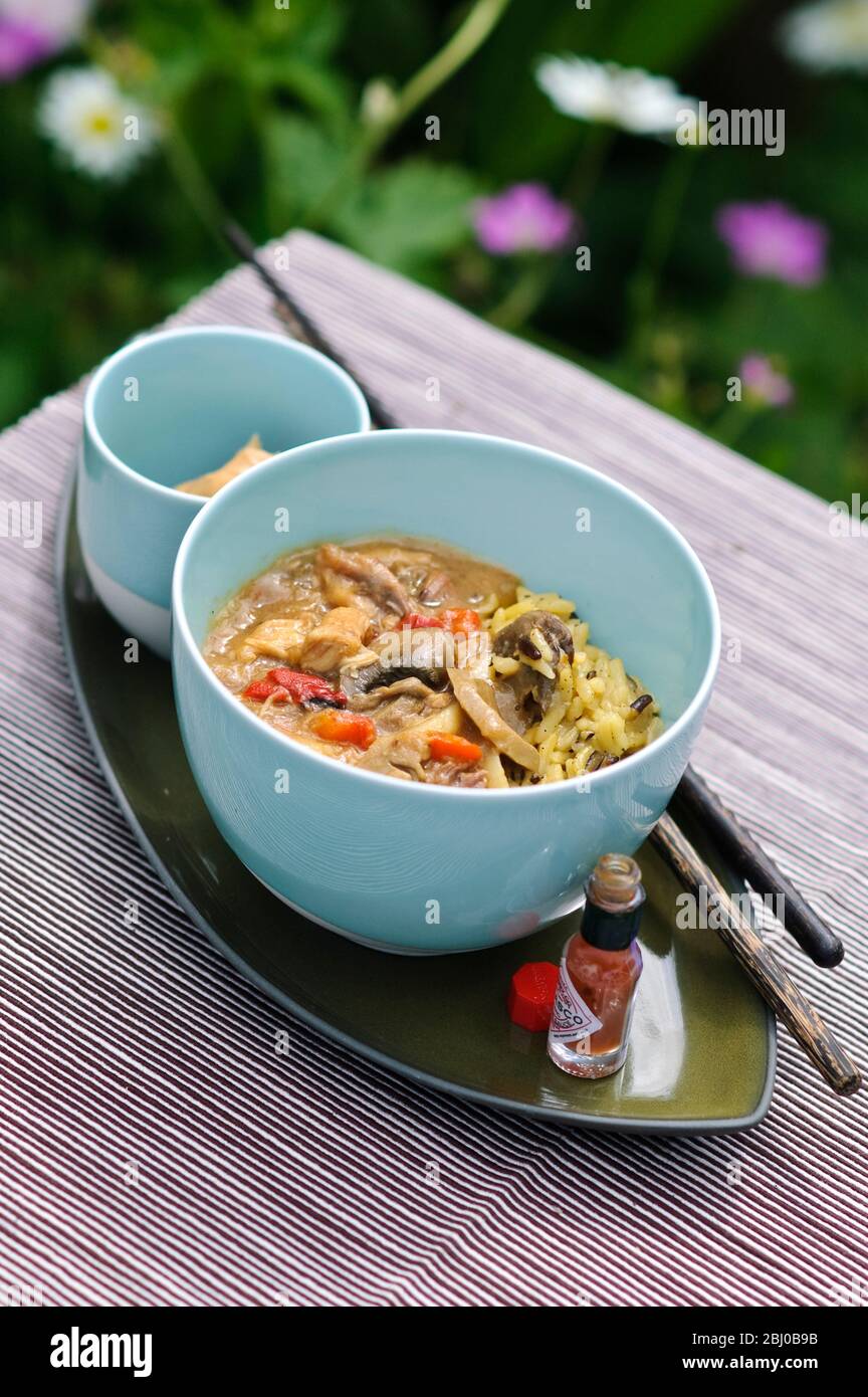 Thai chicken curry on rice - reconstituted American Government Food pack - Stock Photo