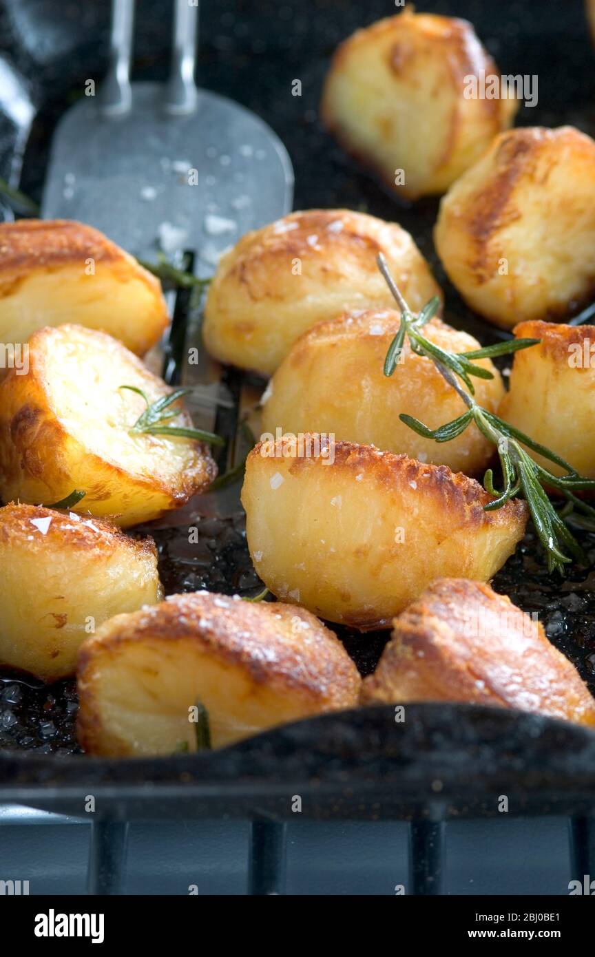 Roast potatoes in black roasting tin with salt and rosemary - Stock Photo