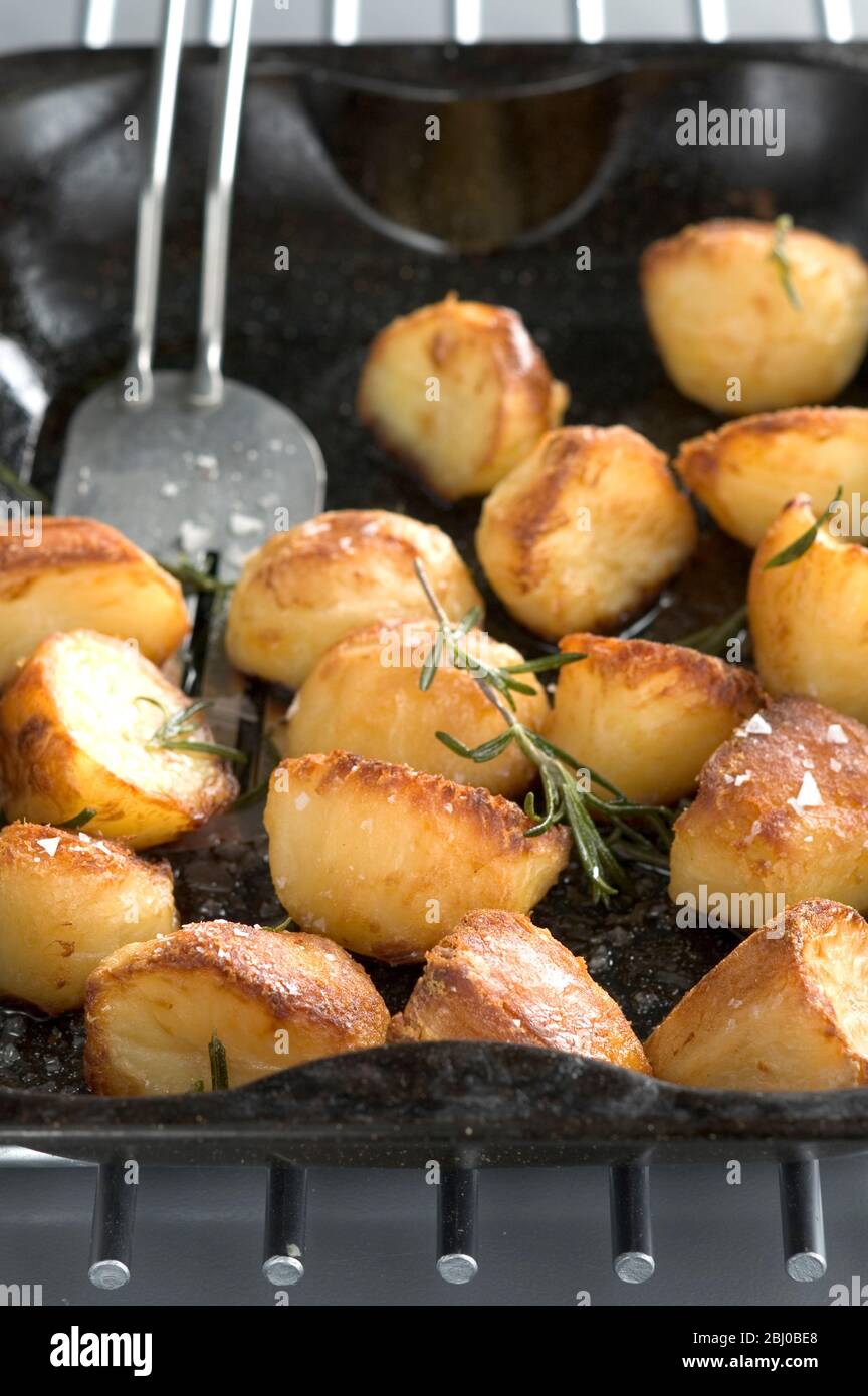 Roast potatoes in black roasting tin with salt and rosemary - Stock Photo