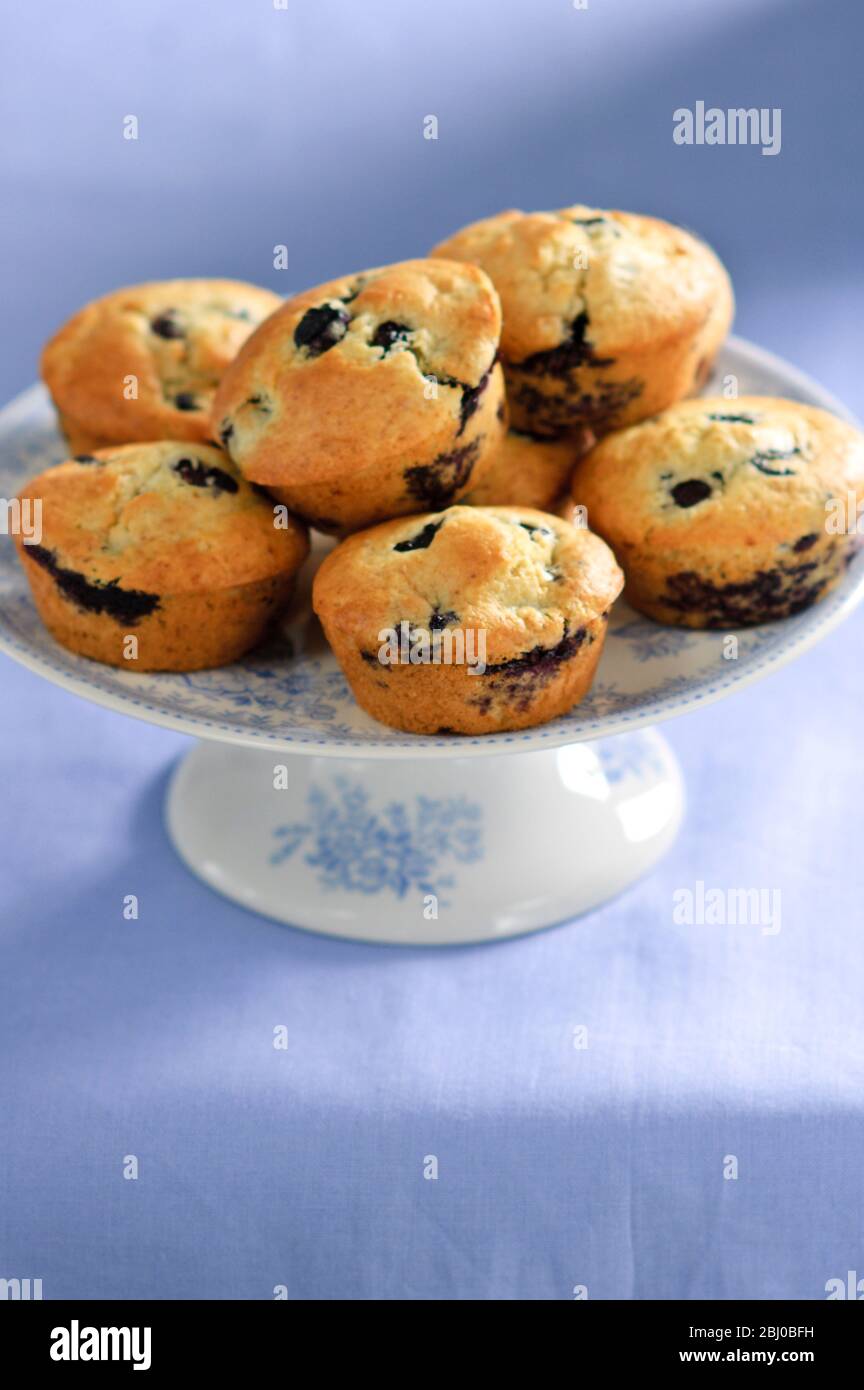 A pile of blueberry muffins on china stand on blue background - Stock Photo