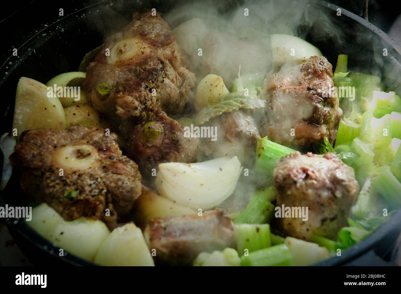 Oxtail casserole with onions and celery being started on top of stove before being left to simmer - Stock Photo