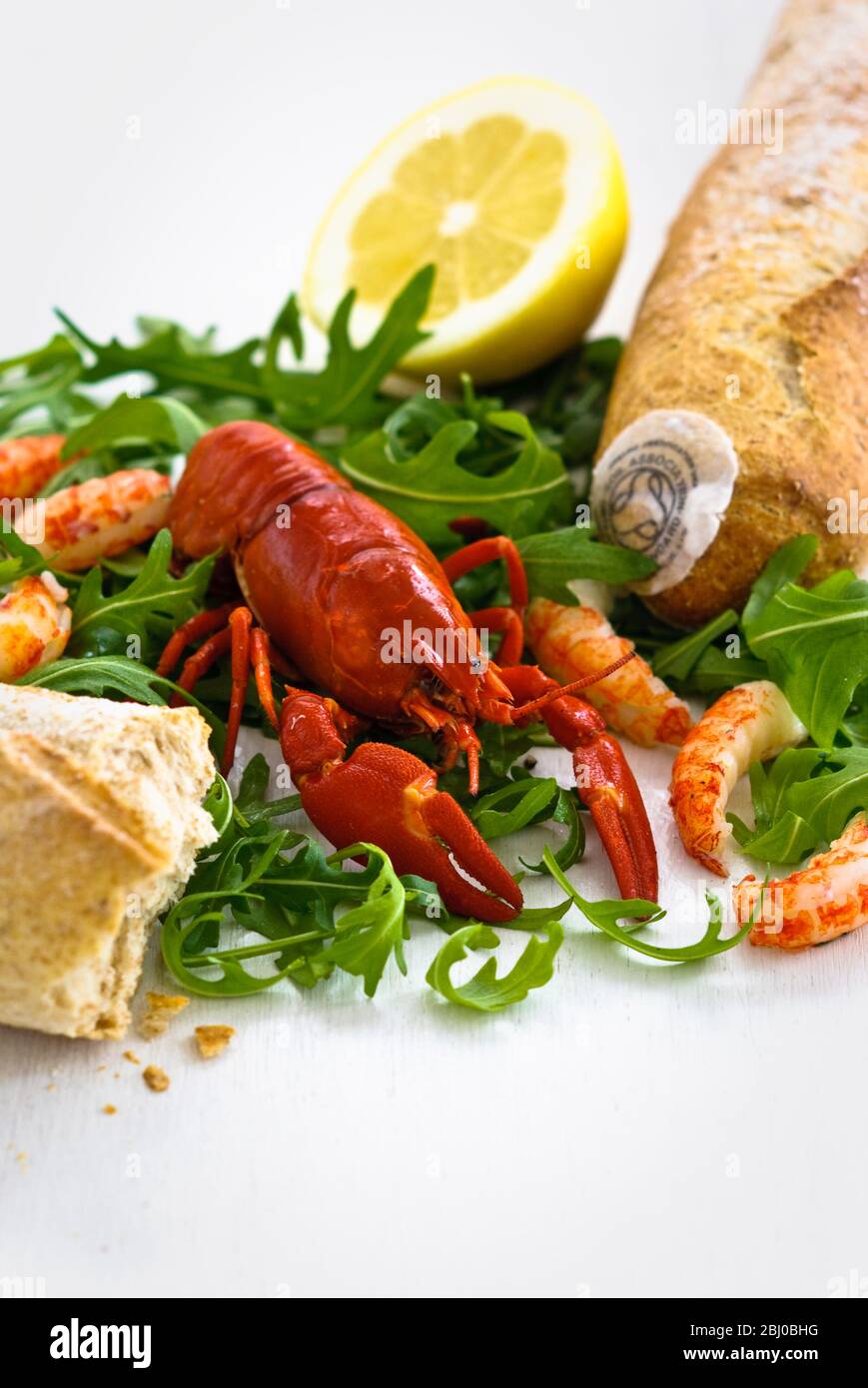 Single cooked whole freshwater crayfish on rockt salad with crayfish tails and fresh wholemeal organic baguettes on white background - Stock Photo