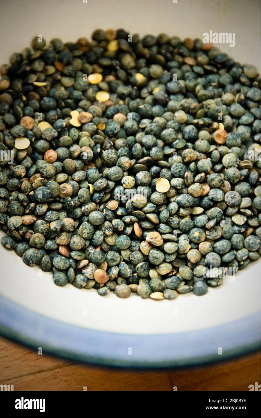 Small blue-green puy lentil in blue rimmed bowl - Stock Photo