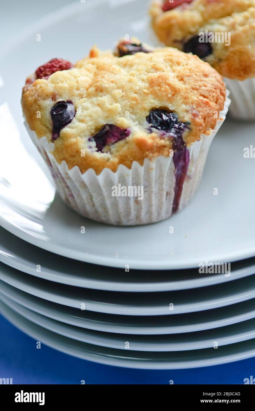 Home made muffins with blueberriess and raspberries on white plate - Stock Photo
