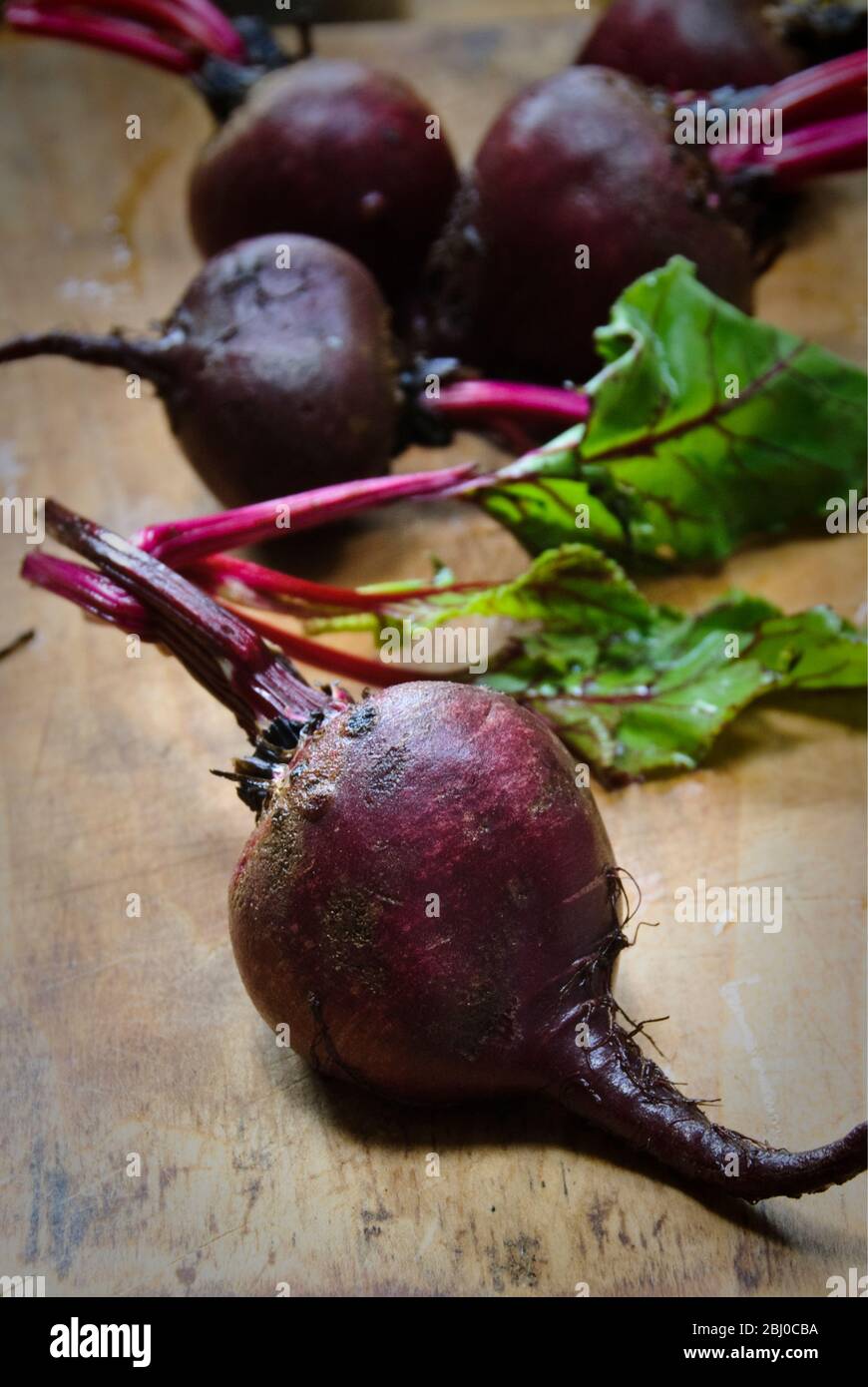 Whole fresh raw beetroots on wooden board - Stock Photo