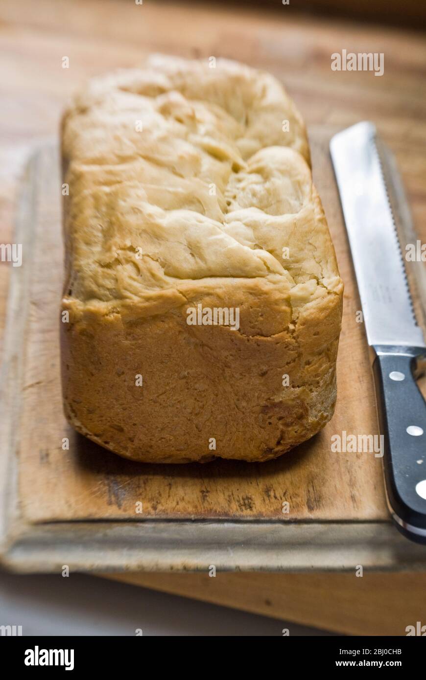 White crusty loaf with organic flour made in electric breadmaker on old wooden bread board with serrated knife - Stock Photo