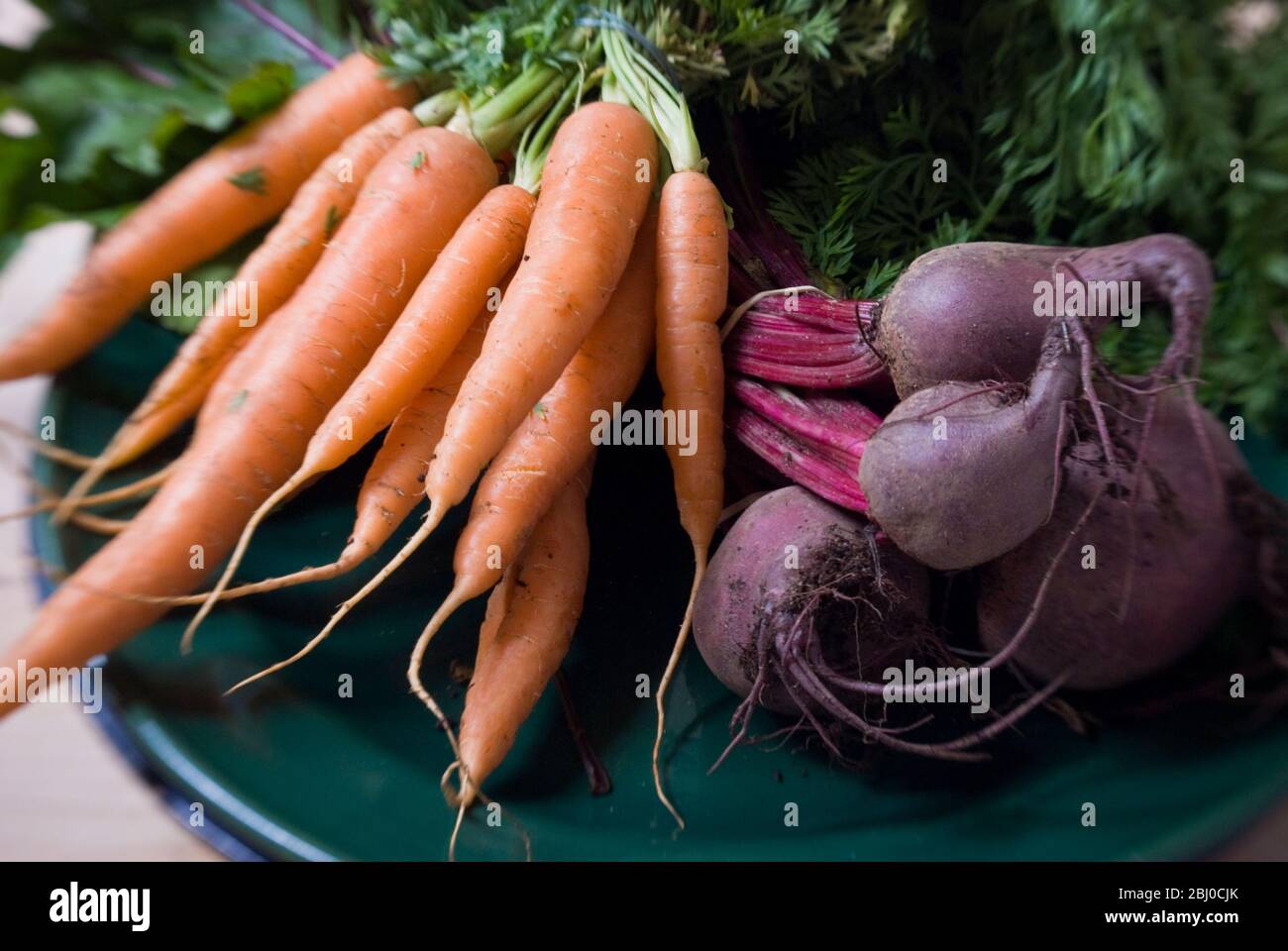 Bunches of fresh carrots and beetroot on dark green platter - Stock Photo