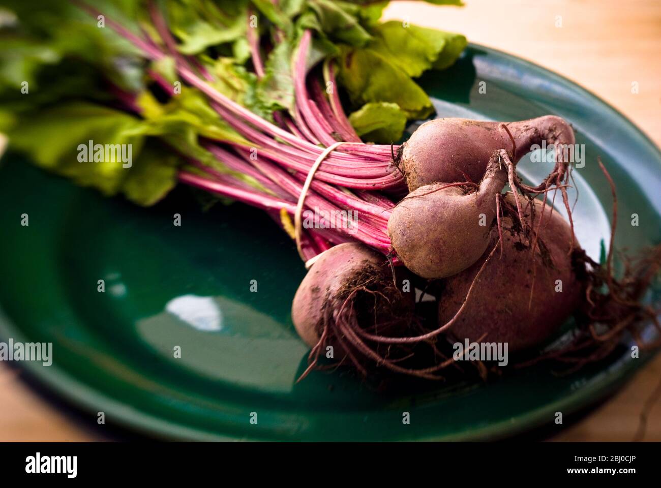 A bunch of freshly dug, whole beetroot on dark green plate. - Stock Photo