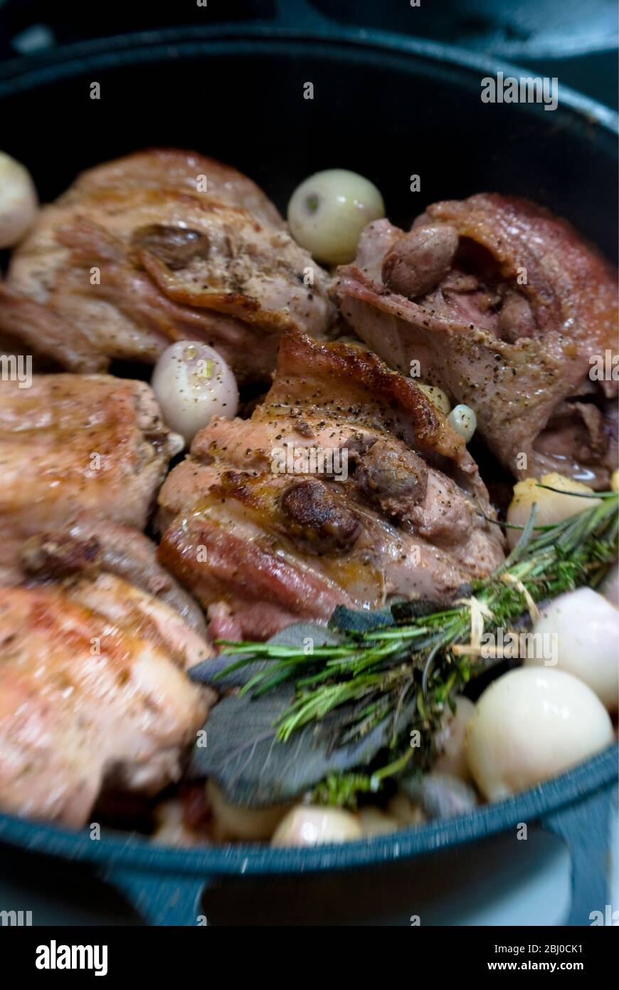 Cook Rabbit Saddle Saddles of rabbit being cooked in wine and stock, with shallots, herbs ...