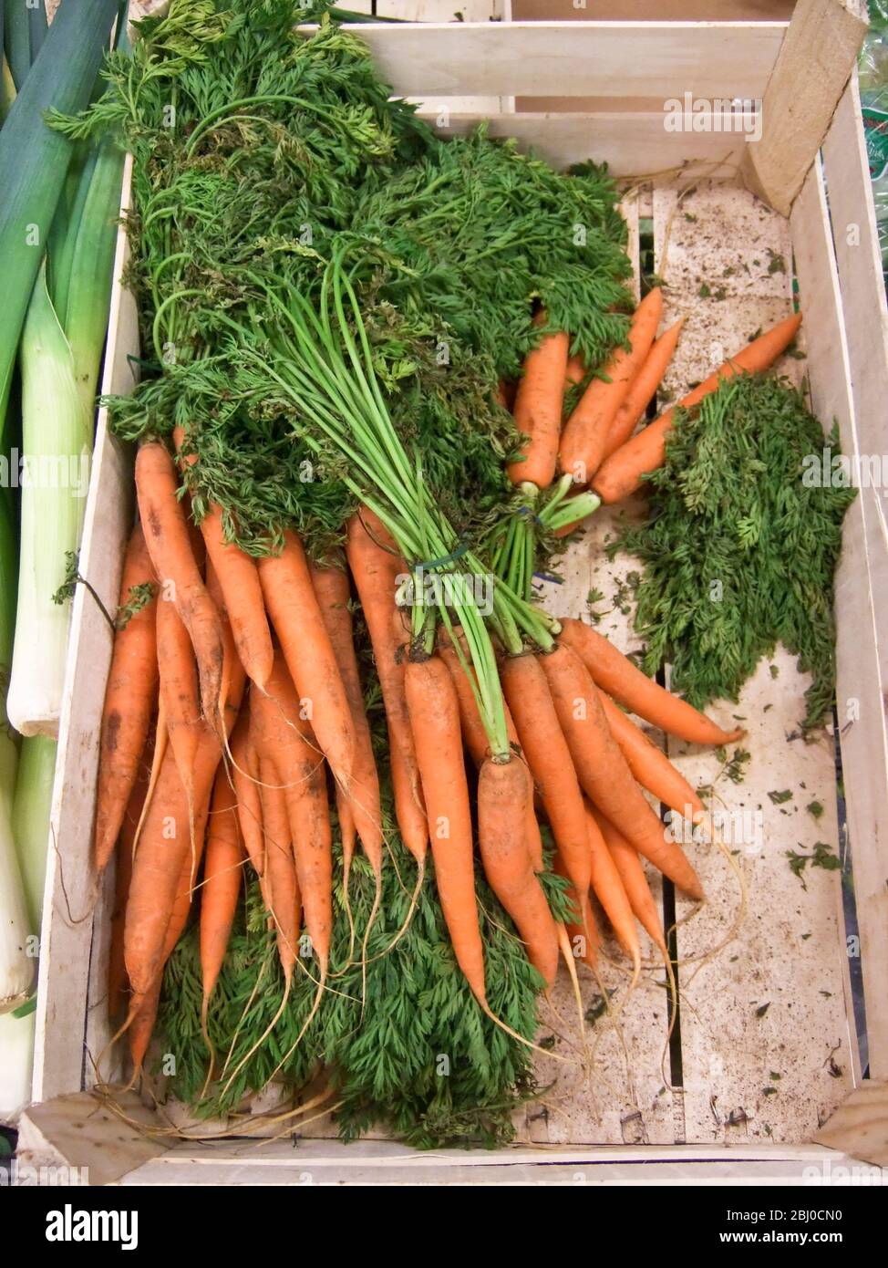 Bunches of carrots for sale in Swedish country store - Stock Photo