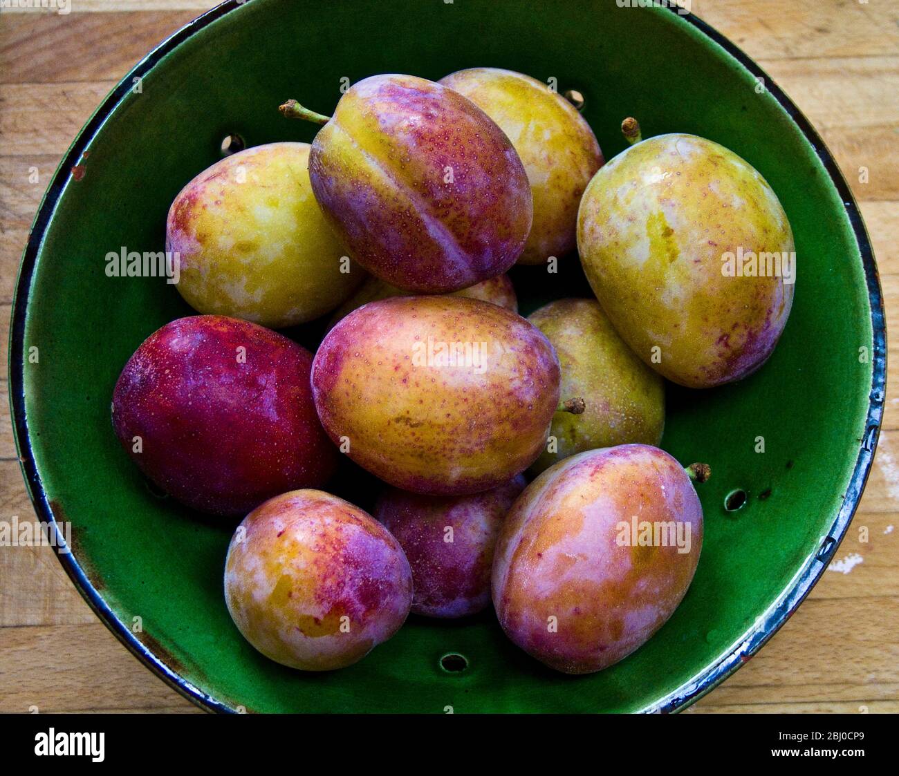 Green pottery bowl of freshly gathered Victoria plums Stock Photo Alamy