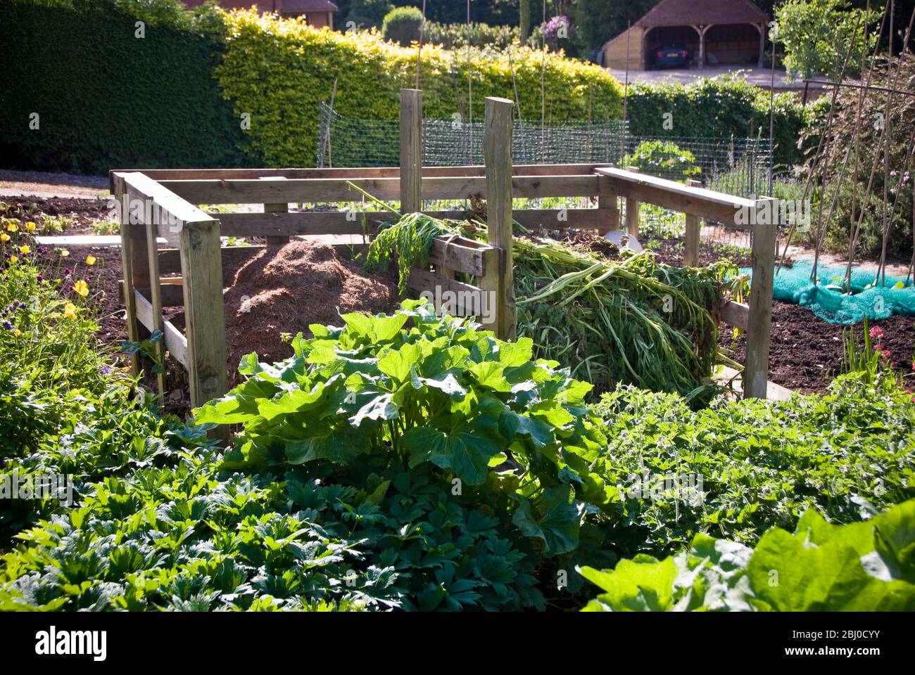 Double compost bin in middle of well tended vegetable garden. Kent UK - Stock Photo