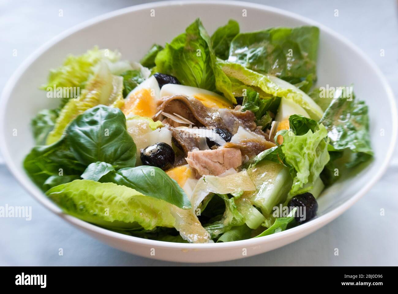 White bowl of classic Salade Nicoise, with vinaigrette - Stock Photo