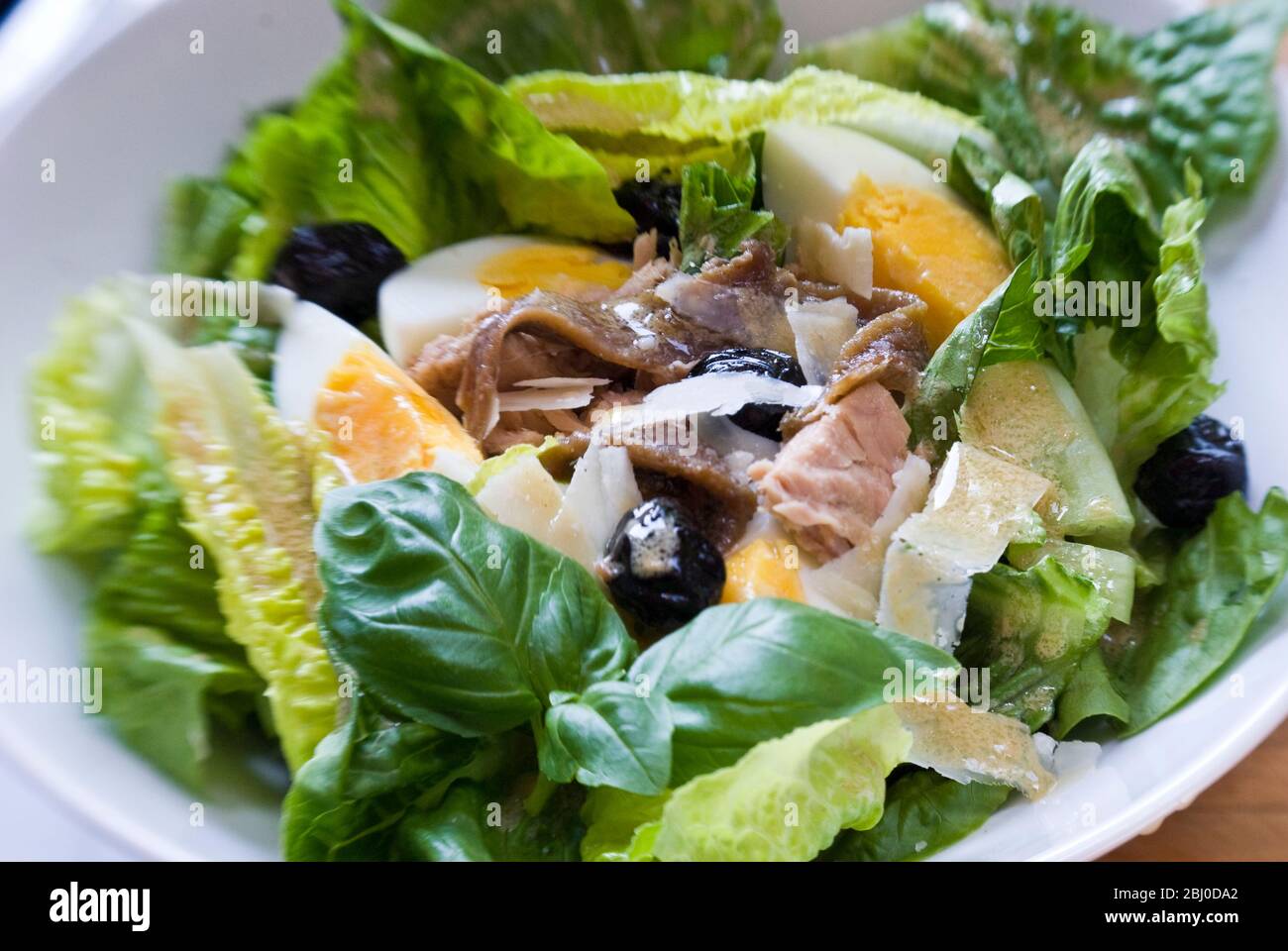White bowl of classic Salade Nicoise, with vinaigrette - Stock Photo