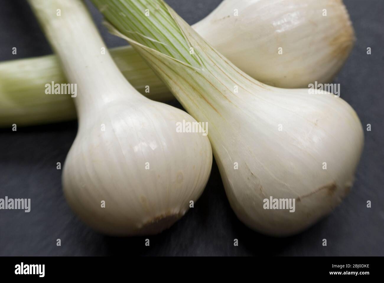 Three fresh salad onions on black surface - Stock Photo