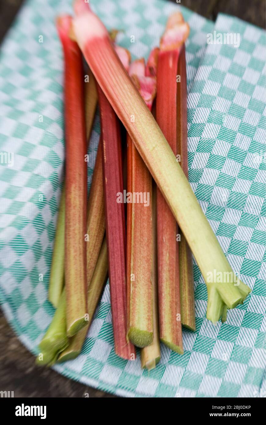Freshly picked rhubarb stems on tea towel on garden table - Stock Photo