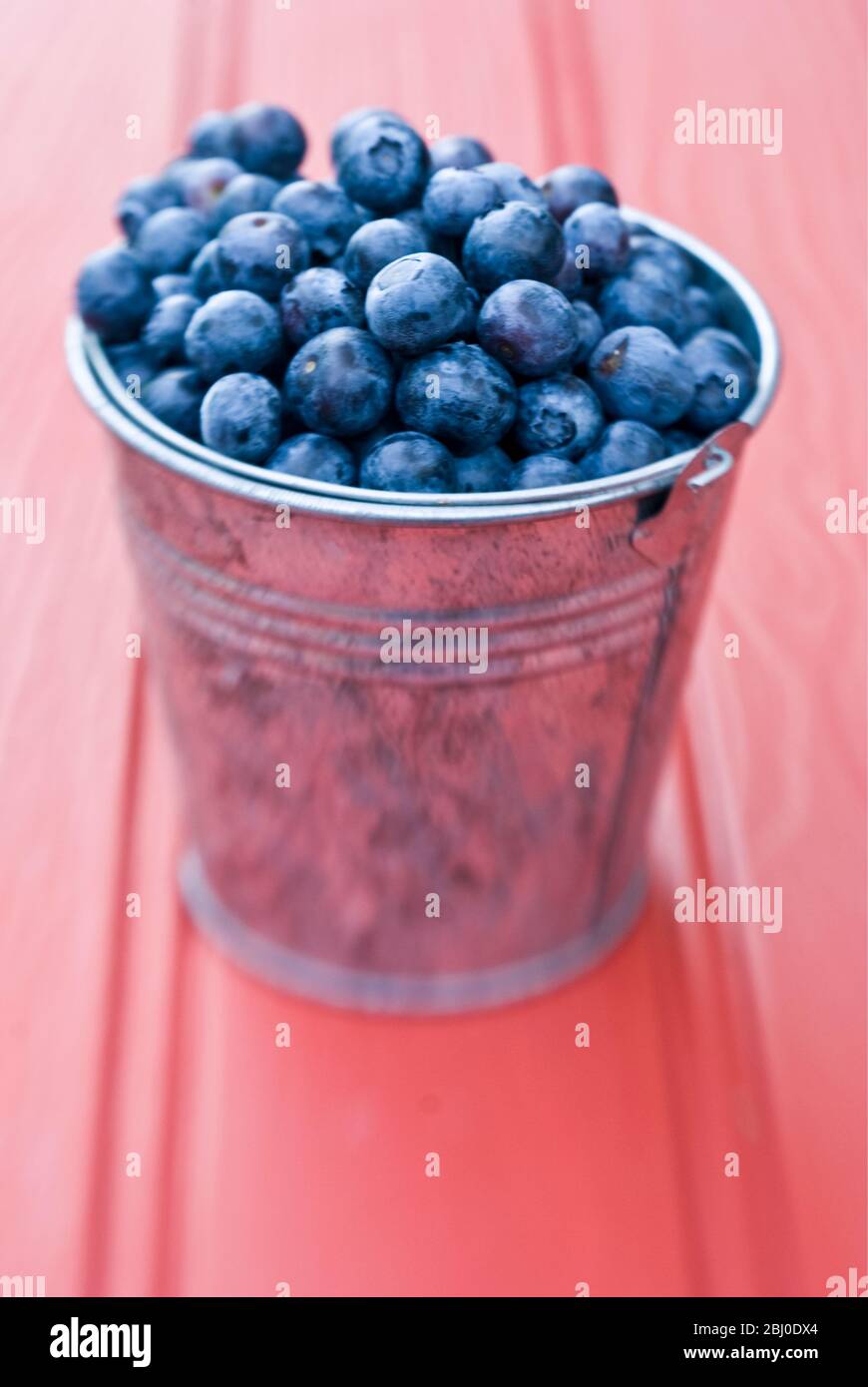 Fresh blueberries in metal bucket Stock Photo Alamy