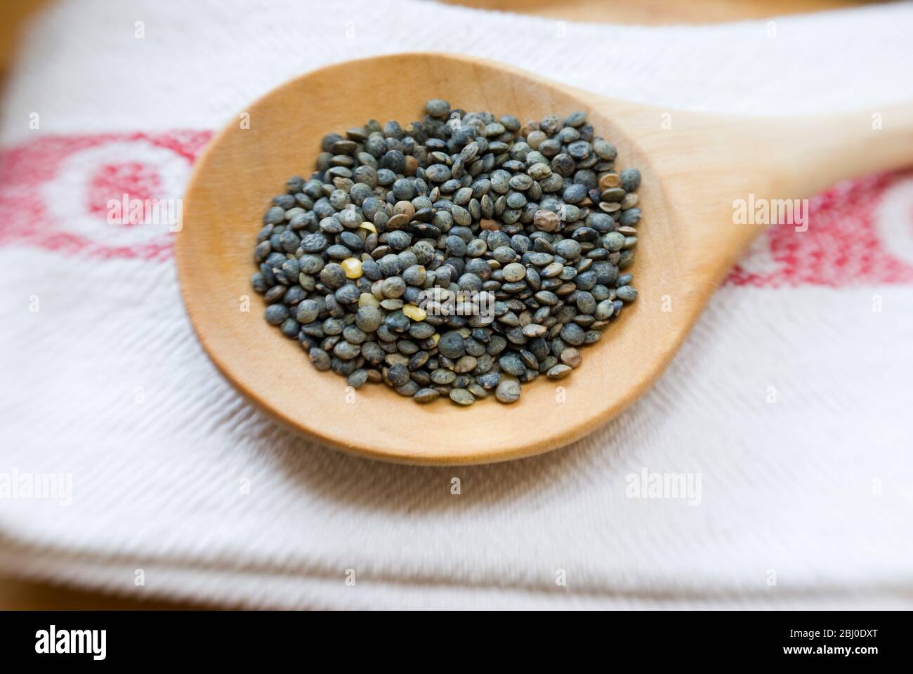 Small blue-green puy lentil on wooden spoon - Stock Photo