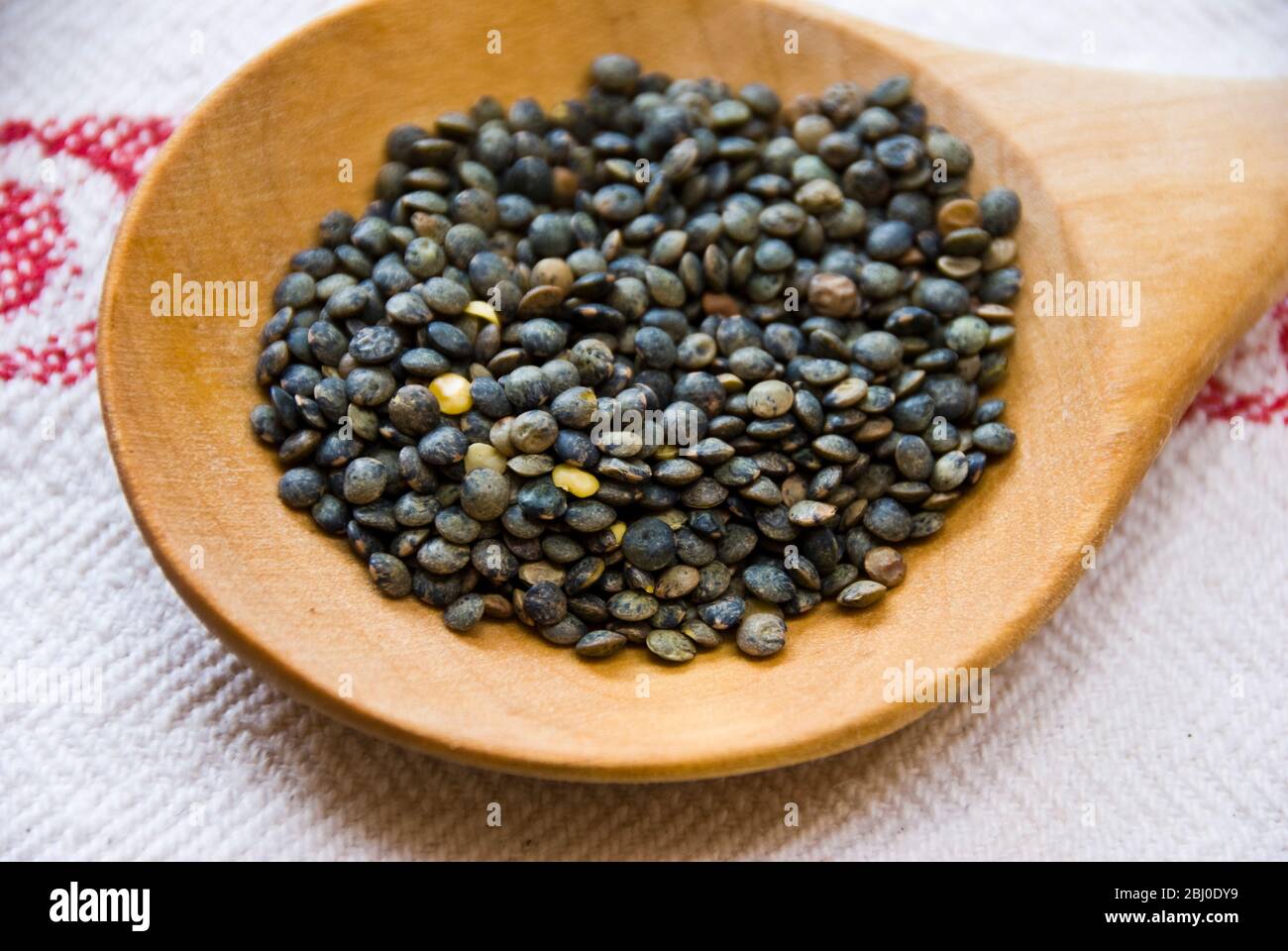 Small blue-green puy lentil on wooden spoon - Stock Photo
