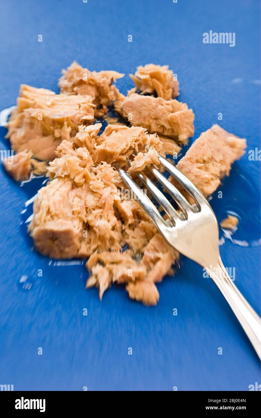 Canned tuna in olive oil turned out onto blue surface - Stock Photo
