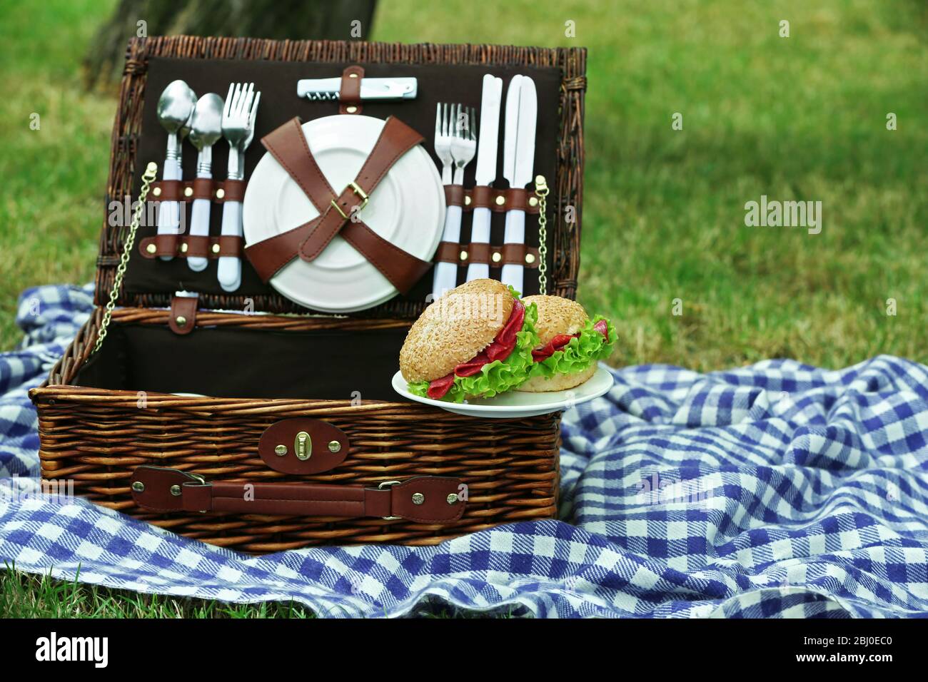 Wicker picnic basket, tasty sandwiches and plaid on green grass ...