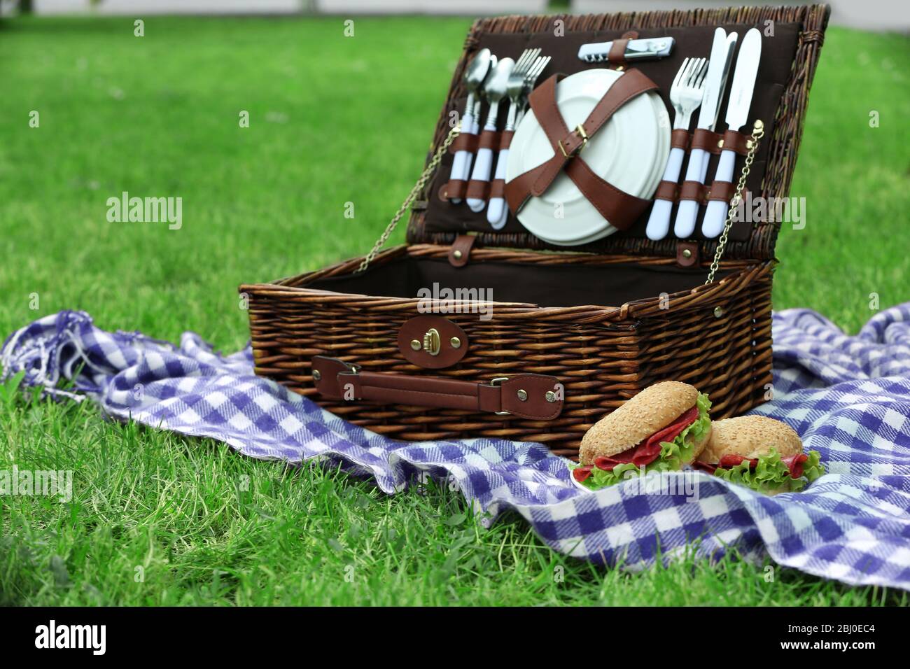 Wicker picnic basket, tasty sandwiches and plaid on green grass ...