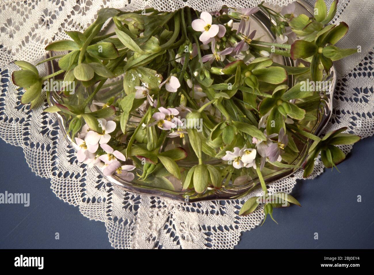 Mixed cottage garden flowers on silver dish with handmade pillow lace cloth - Stock Photo