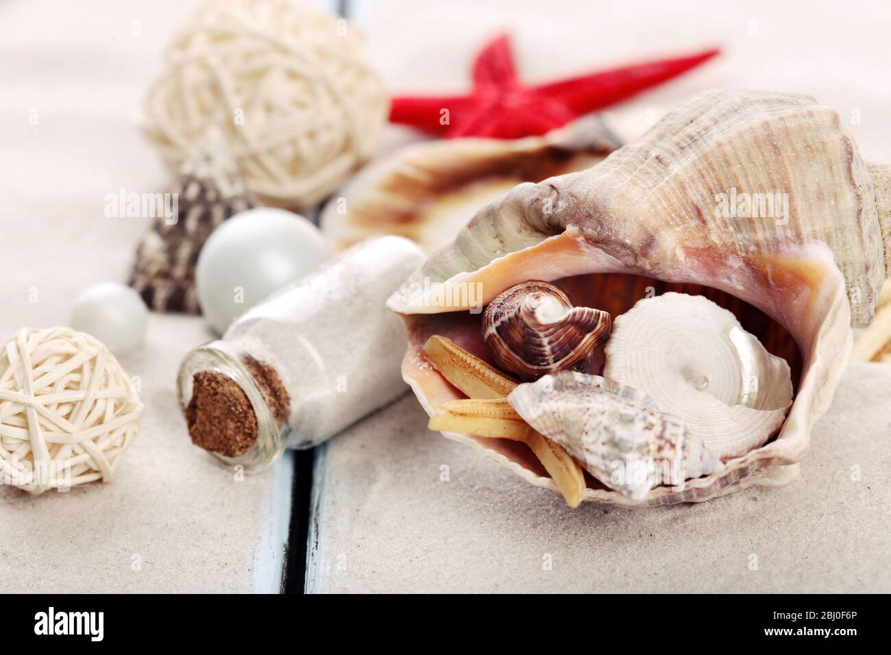 Composition With Shells Red ball and shells hi-res stock photography and images - Alamy