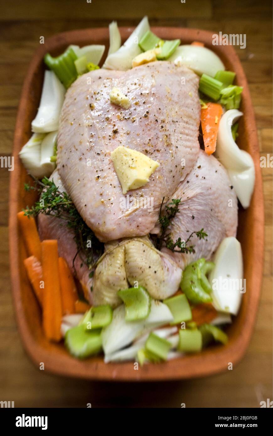 Chicken prepared for the oven in a terracotta chicken brick with onions, celery, carrots, thyme, and a little white wine - Stock Photo