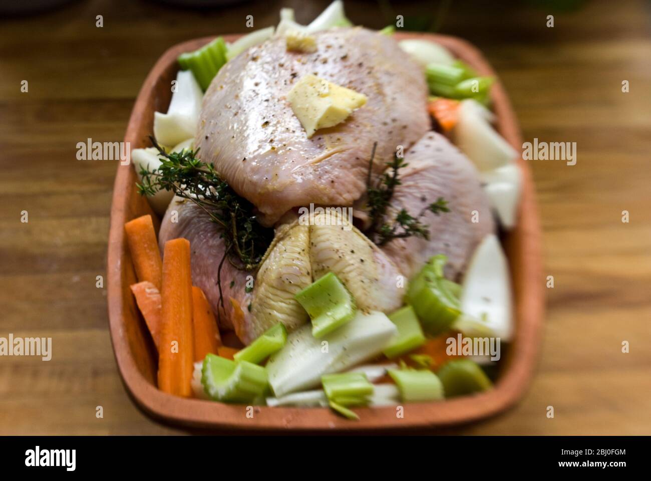 Chicken prepared for the oven in a terracotta chicken brick with onions, celery, carrots, thyme, and a little white wine - Stock Photo