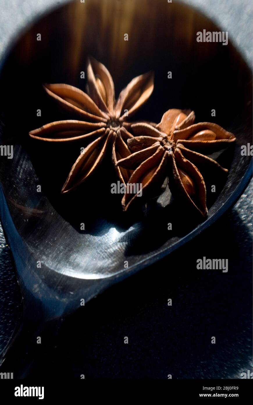 Dried Star anise fruits in small bowl. Also known as star aniseed, badiane or Chinese star anise