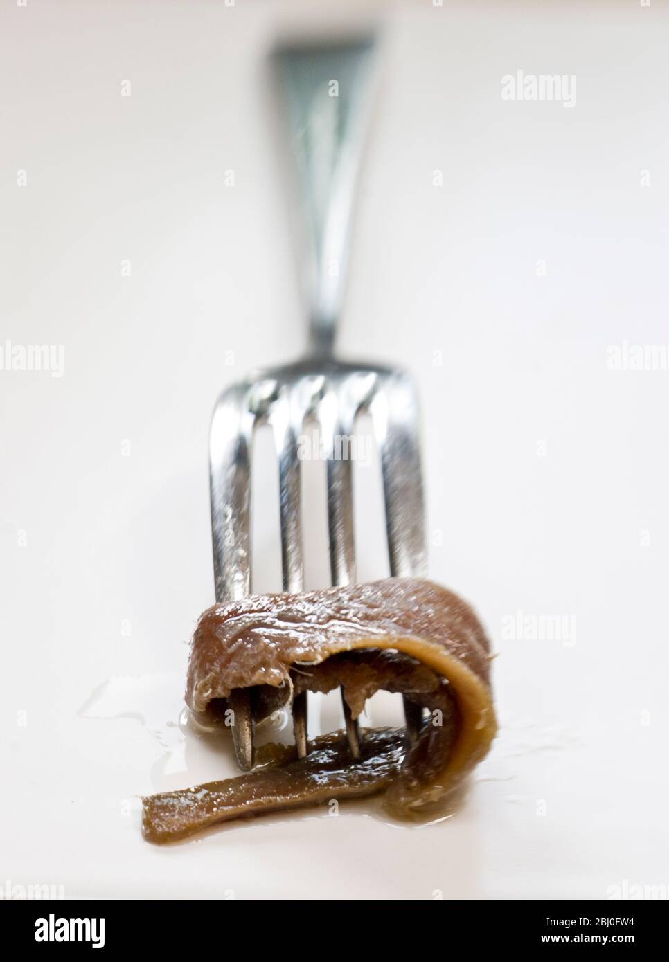 Fillets of anchovies in oil in preserving jar, with single fillet on a fork - Stock Photo