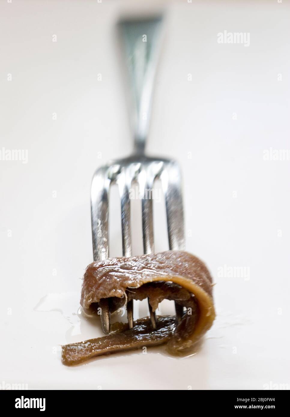 Fillets of anchovies in oil in preserving jar, with single fillet on a