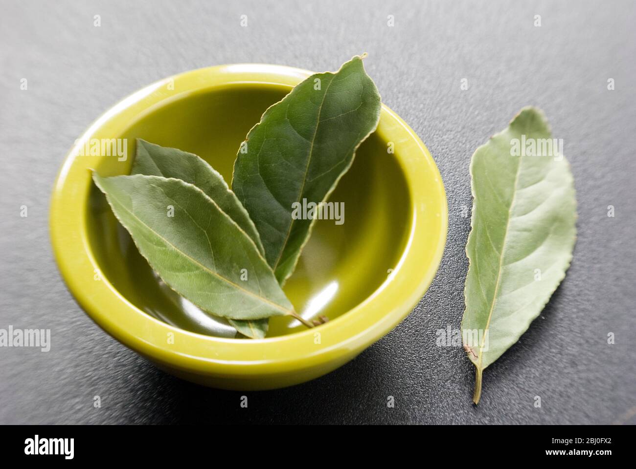 Bay leaves with small bowl on a dark plastic surface. Bay leaf (Greek Daphni, Romanian Foi de Dafin) is the aromatic leaf of several species of the La Stock Photo