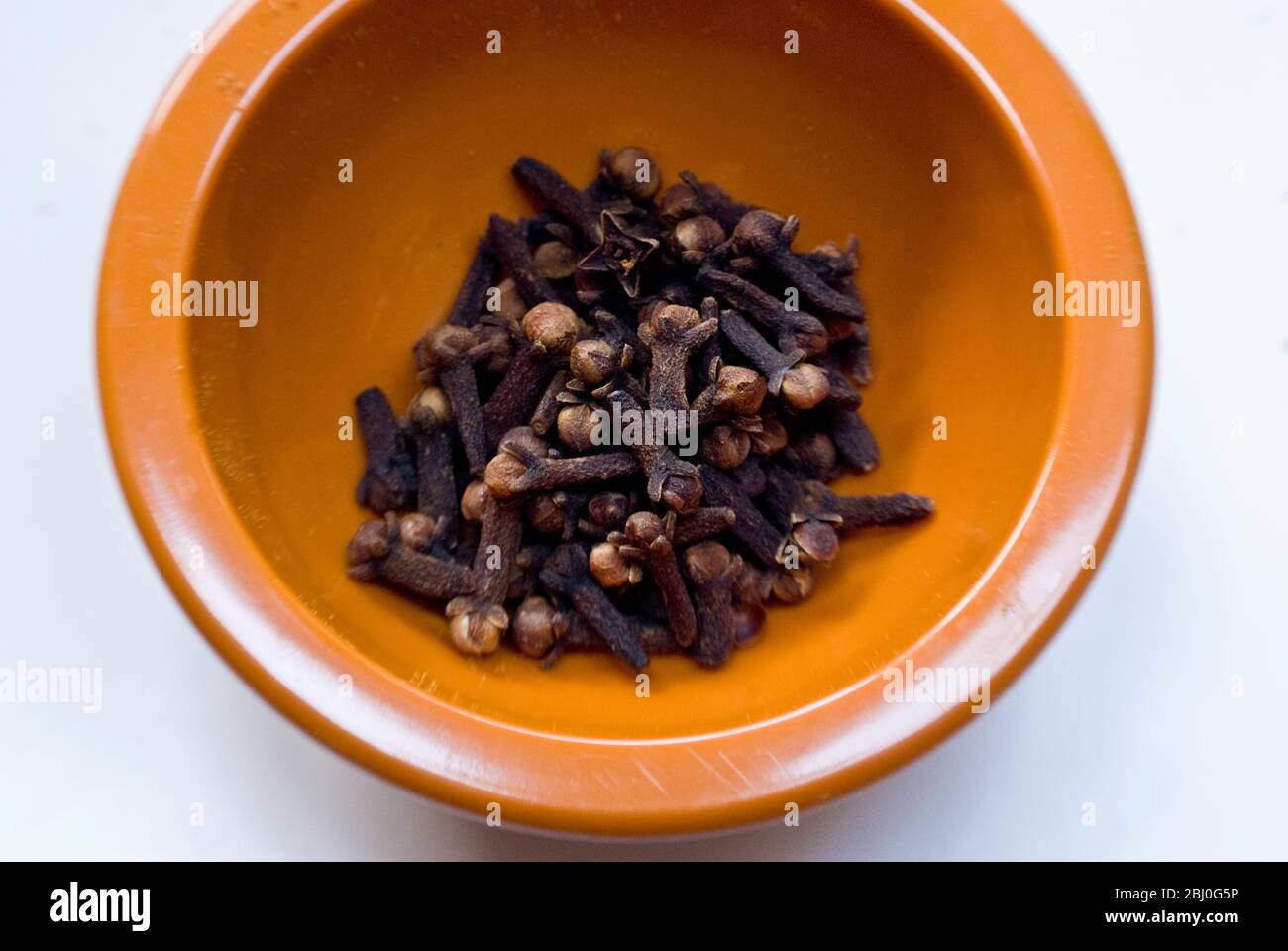A small bowl of whole dried cloves - Stock Photo