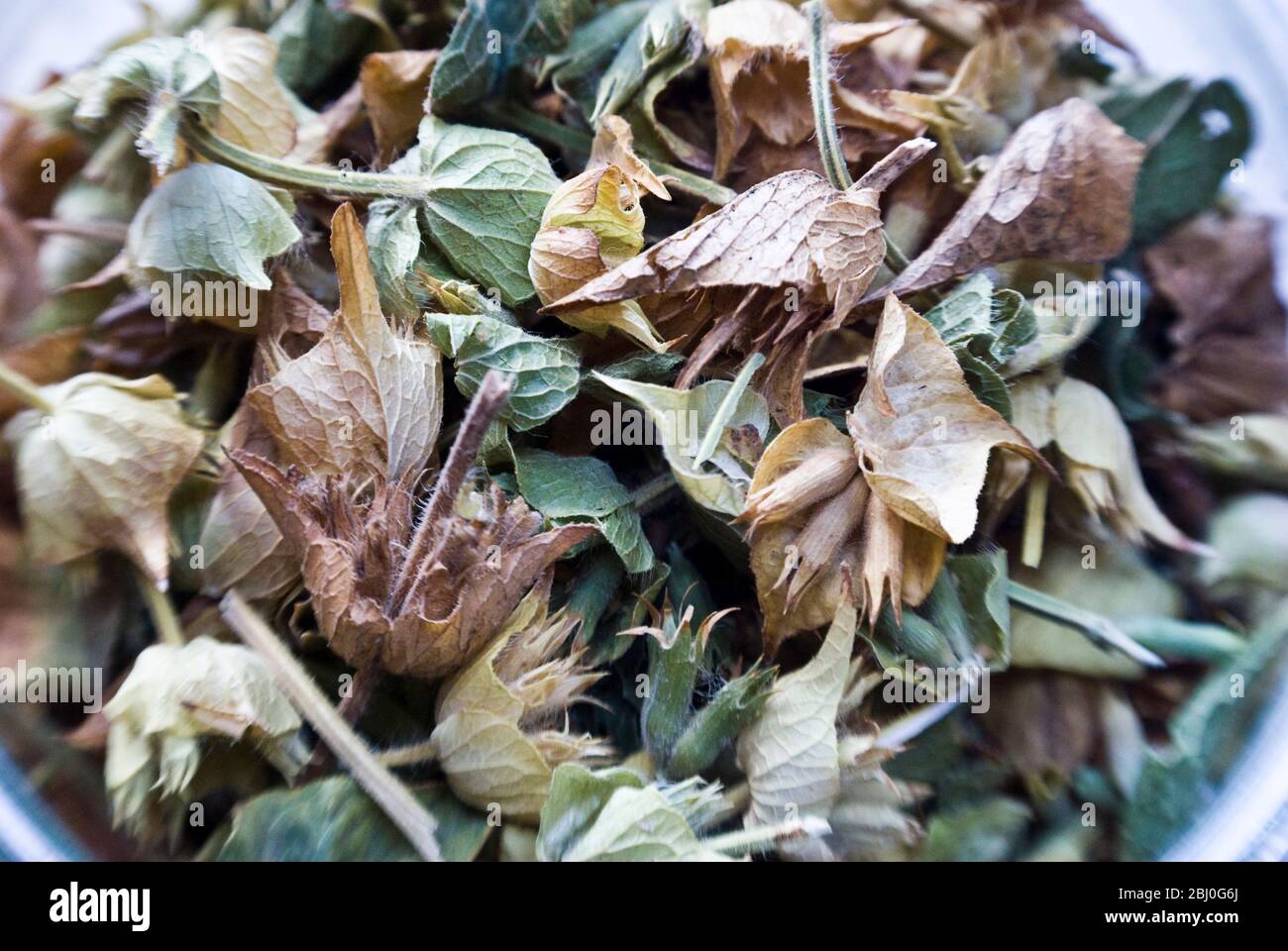 Dried linden flowers for herbal tea or tisane - Stock Photo