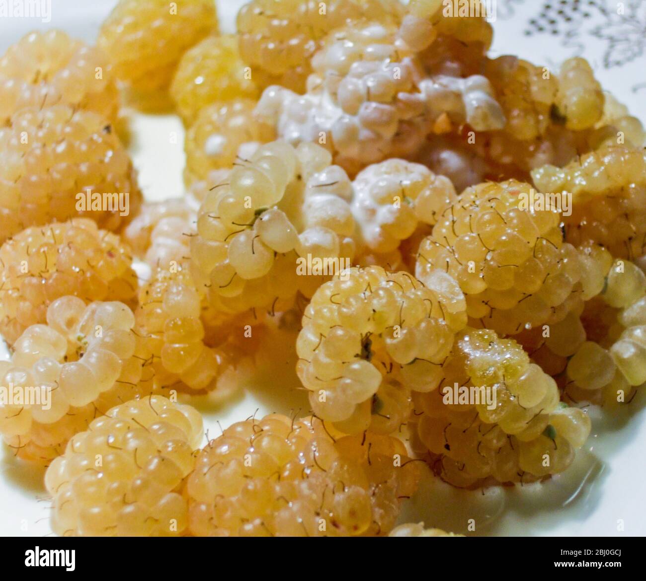 Golden raspberries served with sugar and cream Stock Photo Alamy