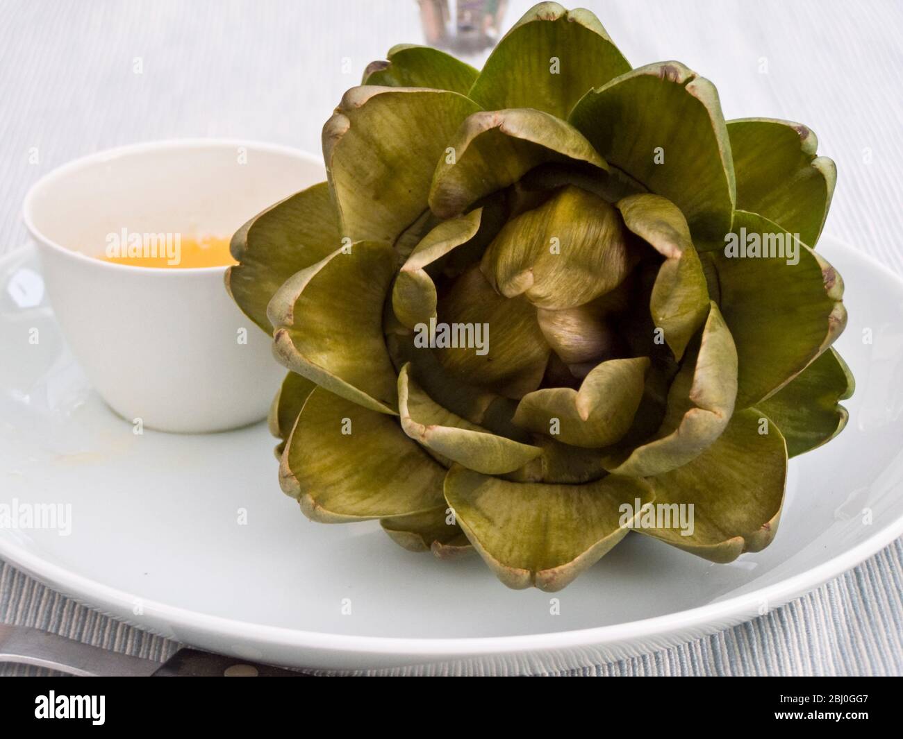 Whole cooked globe artichoke served on white plate with pot of melted butter - Stock Photo