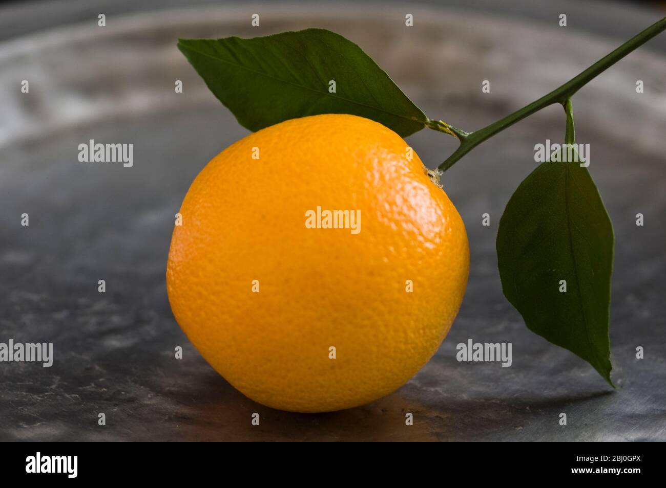 Orange with leaves on pewter charger - Stock Photo